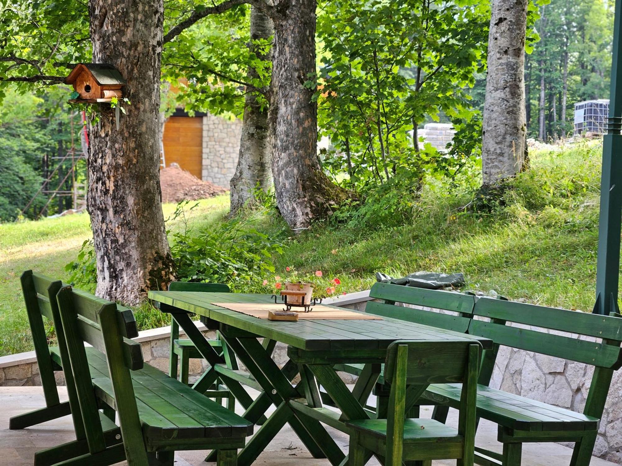Green Forest Žabljak Eksteriør billede