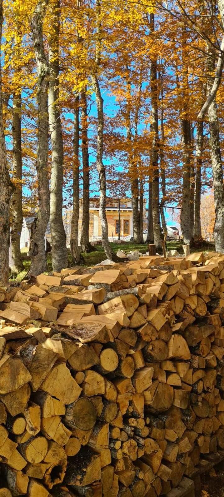 Green Forest Žabljak Eksteriør billede