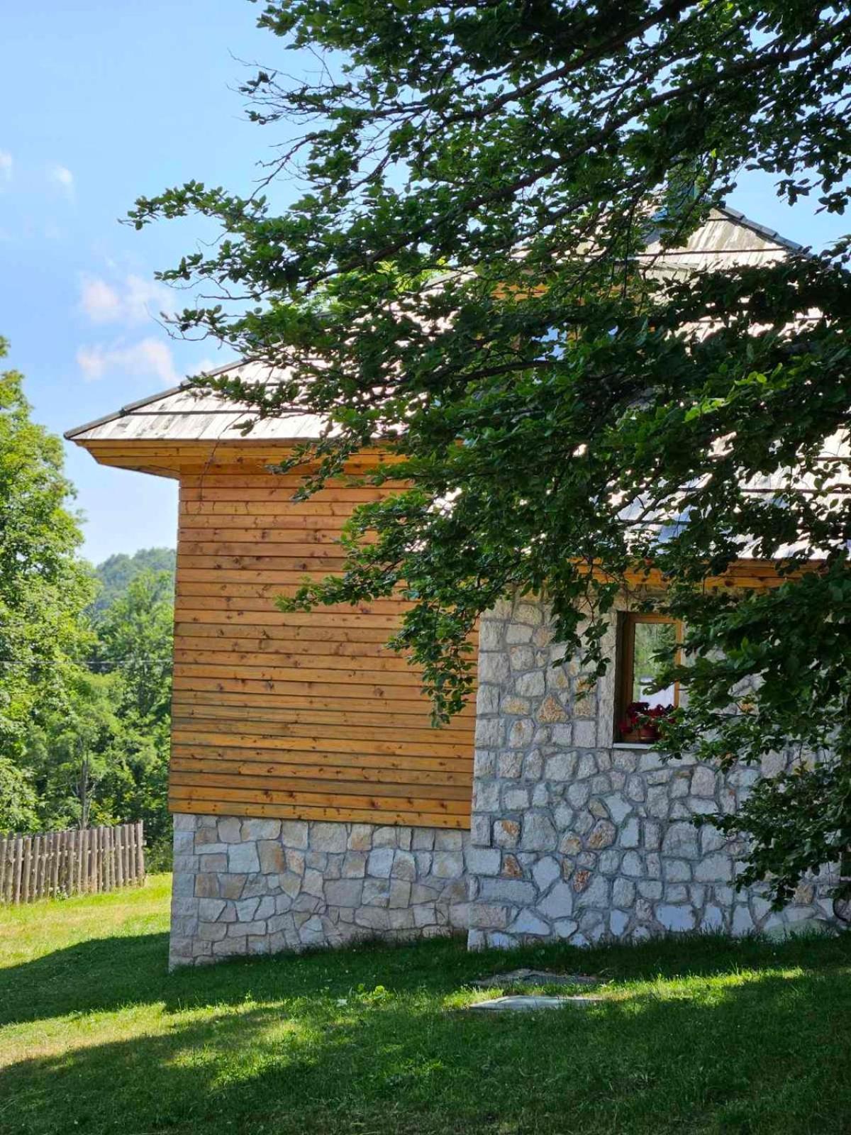 Green Forest Žabljak Eksteriør billede