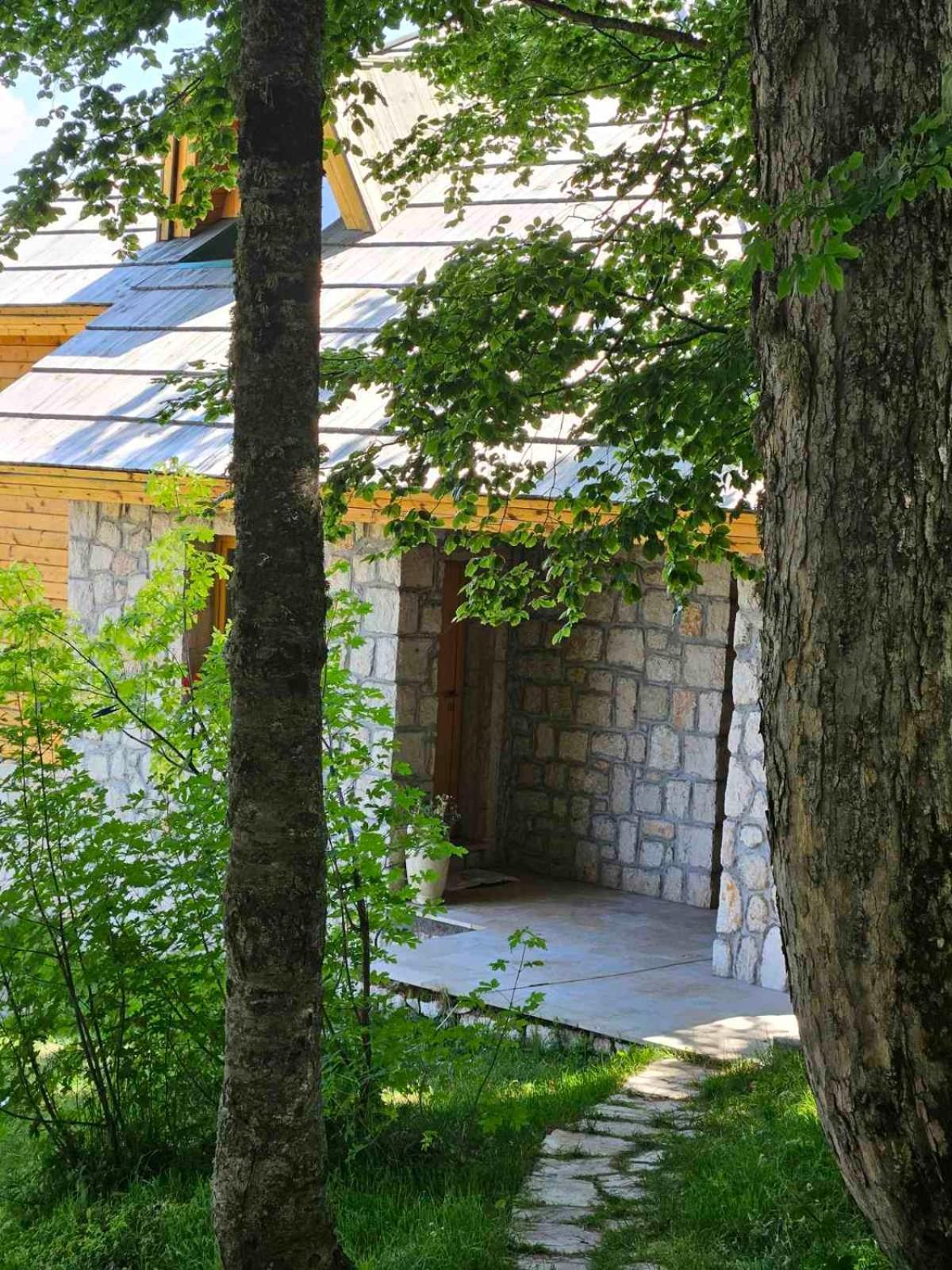 Green Forest Žabljak Eksteriør billede