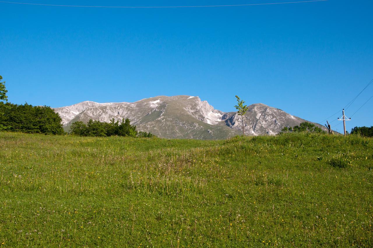 Green Forest Žabljak Eksteriør billede