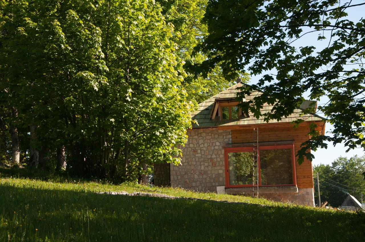 Green Forest Žabljak Eksteriør billede