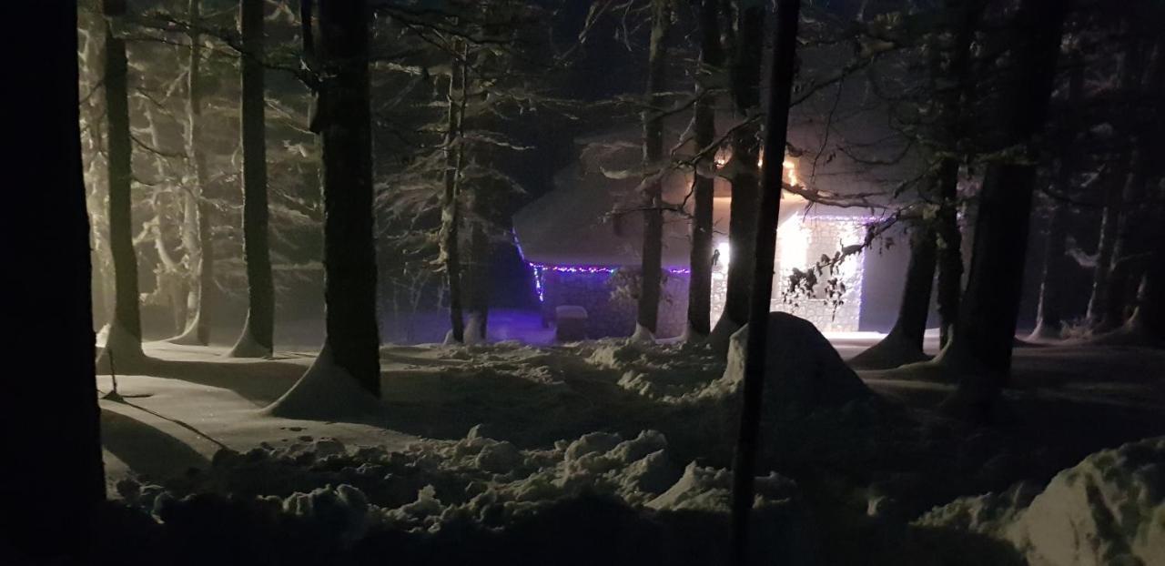Green Forest Žabljak Eksteriør billede